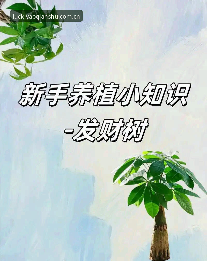 摇钱树游戏平台安卓APP下载完整指南：避开三个坑，走对一条路
